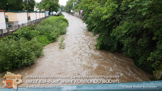 20200621 Hochwasserfhrende Schwechat im Stadtgebiet von Baden  Fotos:  Stefan Schneider