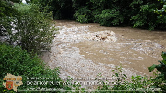 20200621 Hochwasserfhrende Schwechat im Helenental Raum Siegenfeld  Fotos:  Stefan Schneider