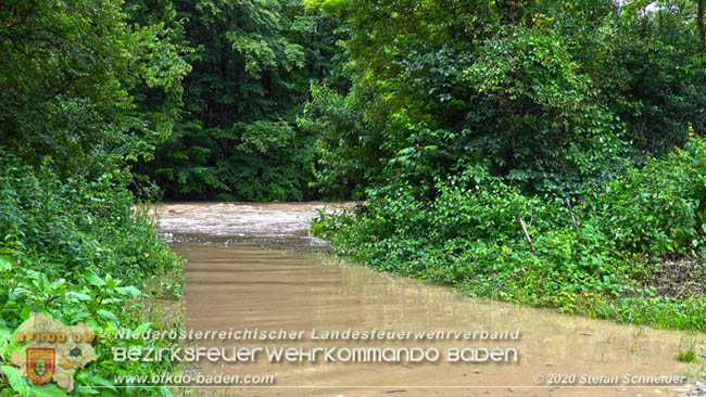 20200621 Hochwasserfhrende Schwechat im Helenental Raum Siegenfeld  Fotos:  Stefan Schneider