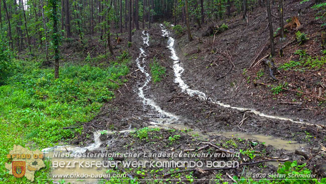 20200621 Hochwasserfhrende Schwechat und starke Regenflle Raum Klausen-Leopoldsdorf  Fotos:  Stefan Schneider