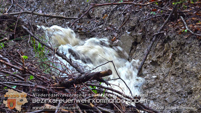 20200621 Hochwasserfhrende Schwechat und starke Regenflle Raum Klausen-Leopoldsdorf  Fotos:  Stefan Schneider