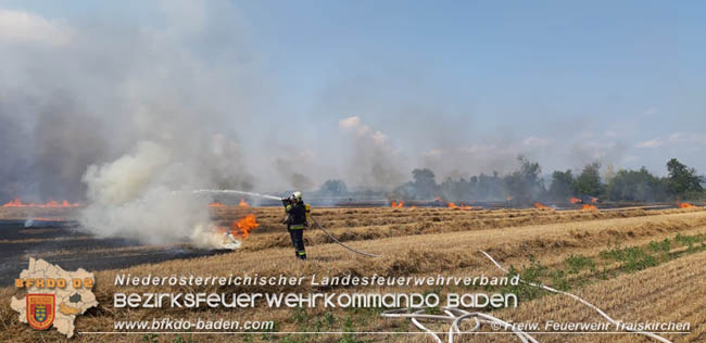 20200721 Feldbrand im Gemeindegebiet Traiskirchen forderte 4 Freiwillige Feuerwehren   Fotos: © Freiwillige Feuerwehr Traiskirchen-Stadt
