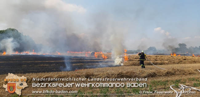 20200721 Feldbrand im Gemeindegebiet Traiskirchen forderte 4 Freiwillige Feuerwehren   Fotos:  Freiwillige Feuerwehr Traiskirchen-Stadt