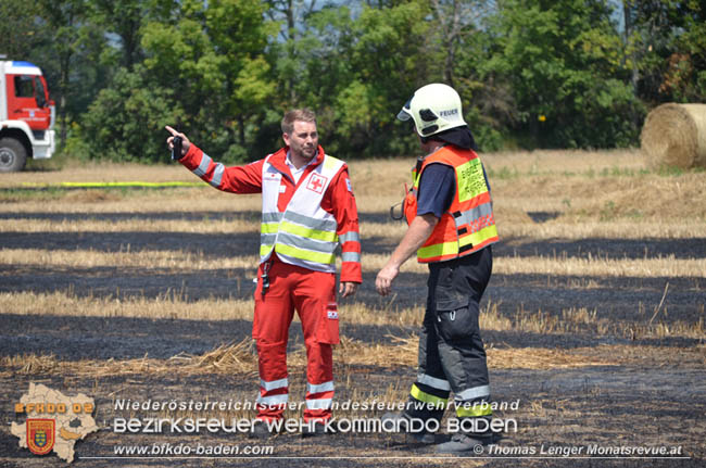 20200721 Feldbrand im Gemeindegebiet Traiskirchen forderte 4 Freiwillige Feuerwehren   Fotos:  Thomas Lenger Monatsrevue.at