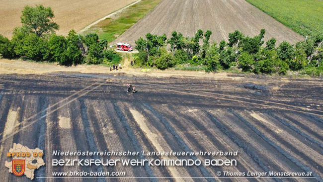 20200721 Feldbrand im Gemeindegebiet Traiskirchen forderte 4 Freiwillige Feuerwehren   Fotos:  Thomas Lenger Monatsrevue.at
