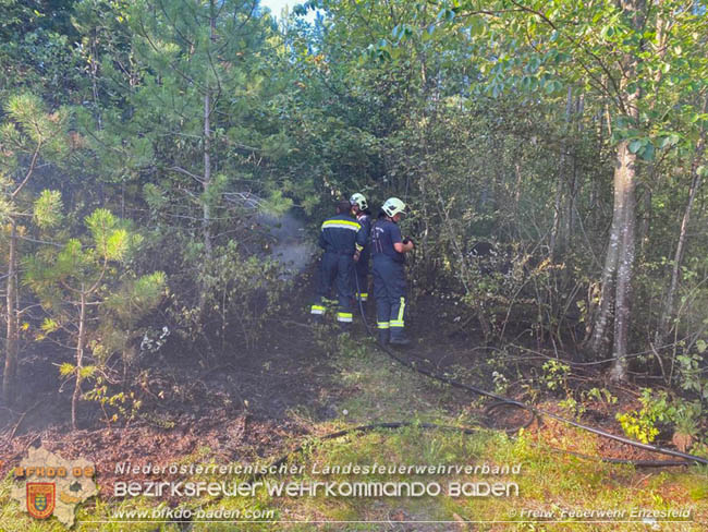 20200728 Waldbrand in Enzesfeld Richtung Golfplatz