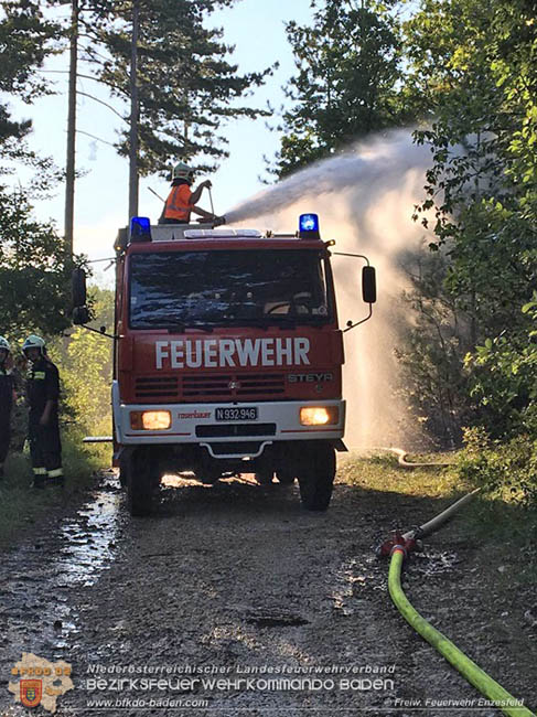 20200728 Waldbrand in Enzesfeld Richtung Golfplatz