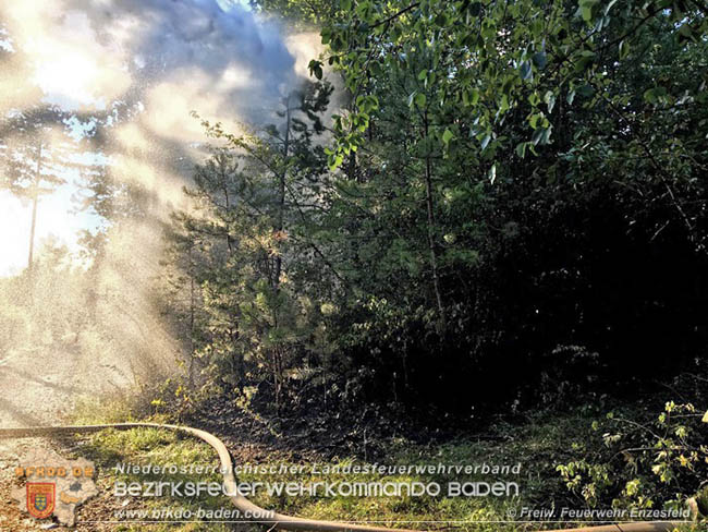 20200728 Waldbrand in Enzesfeld Richtung Golfplatz