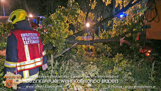 20200906 Vierachs-Lkw Kehrmaschine verunfallt auf der L157 bei Tattendorf   Foto:  Thomas Lenger Monatsrevue.at