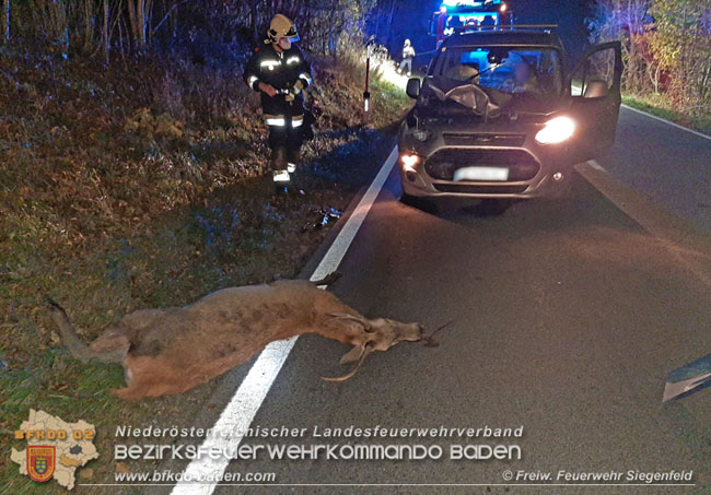 20201107 Fahrzeugbergung nach Wildunfall auf der LB210 im Helenental  Foto:  Freiwillige Feuerwehr Siegenfeld