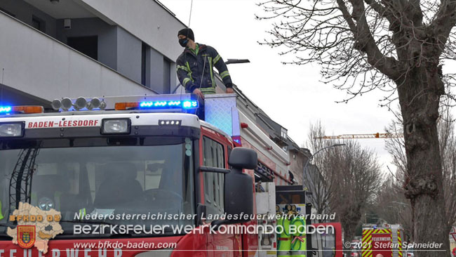 20210110 Stubentiger "Aladin" aus 4. Stock in tieferliegendes Bachbett gestrzt in Baden Ortsteil Leesdorf  Foto:  Stefan Schneider BFKDO Baden