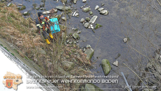 20210110 Stubentiger "Aladin" aus 4. Stock in tieferliegendes Bachbett gestrzt in Baden Ortsteil Leesdorf  Foto:  Stefan Schneider BFKDO Baden