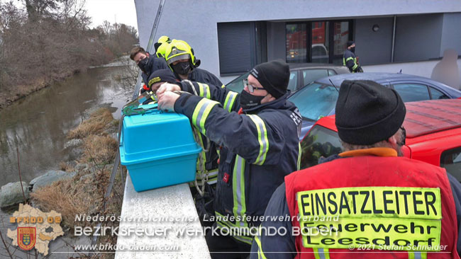 20210110 Stubentiger "Aladin" aus 4. Stock in tieferliegendes Bachbett gestrzt in Baden Ortsteil Leesdorf  Foto:  Stefan Schneider BFKDO Baden