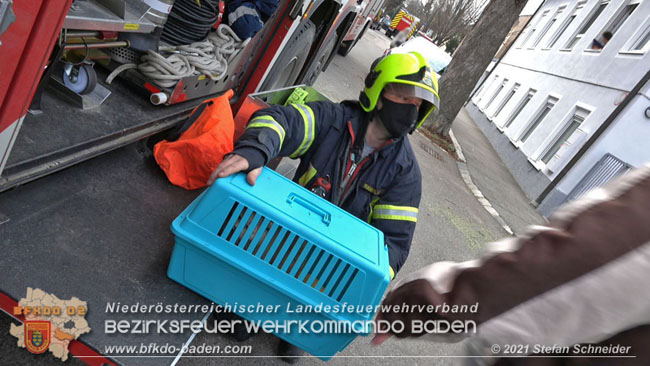 20210110 Stubentiger "Aladin" aus 4. Stock in tieferliegendes Bachbett gestrzt in Baden Ortsteil Leesdorf  Foto:  Stefan Schneider BFKDO Baden