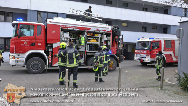 20210110 Stubentiger "Aladin" aus 4. Stock in tieferliegendes Bachbett gestrzt in Baden Ortsteil Leesdorf  Foto:  Stefan Schneider BFKDO Baden