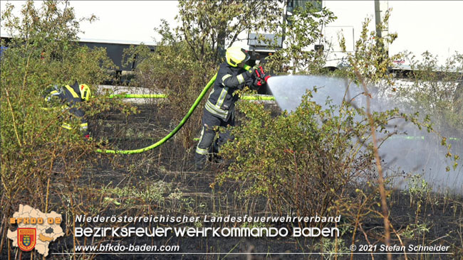 20210710 Flurbrand im IZ Traiskirchen-Tribuswinkel Foto: © Stefan Schneider BFK Baden 20210710 Flurbrand im IZ Traiskirchen-Tribuswinkel Foto: © Stefan Schneider BFK Baden