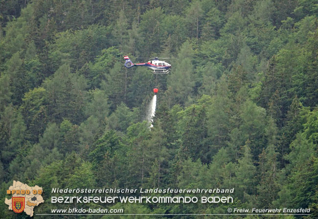 20210710 Unterstützung bei Waldbrand in Gutenstein im Bezirk Wr.Neustadt   Foto: © Freiwillige Feuerwehr Enzesfeld
