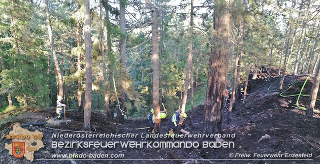 20210710 Untersttzung bei Waldbrand in Gutenstein im Bezirk Wr.Neustadt   Foto:  Freiwillige Feuerwehr Enzesfeld
