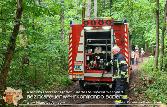 20210714 Kindergruppe Natur Plus verhindert Waldbrand in Baden  Foto:  Freiwillige Feuerwehr Baden-Stadt