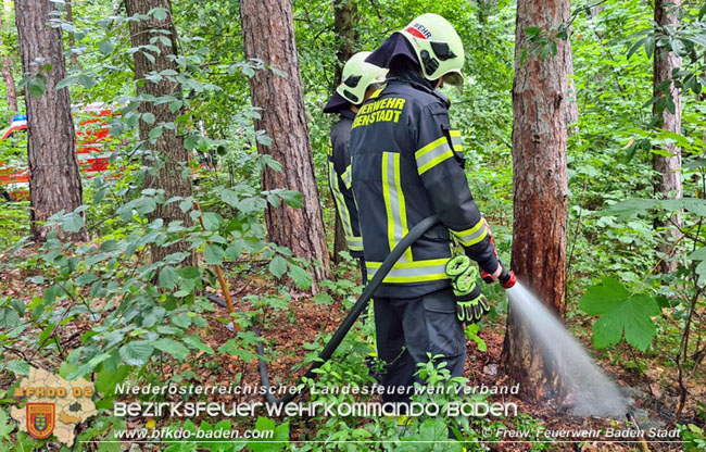 20210714 Kindergruppe Natur Plus verhindert Waldbrand in Baden  Foto:  Freiwillige Feuerwehr Baden-Stadt