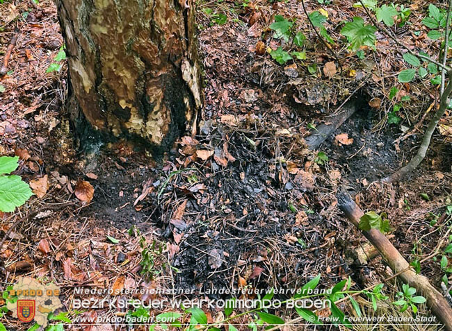 20210714 Kindergruppe Natur Plus verhindert Waldbrand in Baden  Foto:  Freiwillige Feuerwehr Baden-Stadt