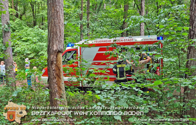 20210714 Kindergruppe Natur Plus verhindert Waldbrand in Baden  Foto:  Freiwillige Feuerwehr Baden-Stadt