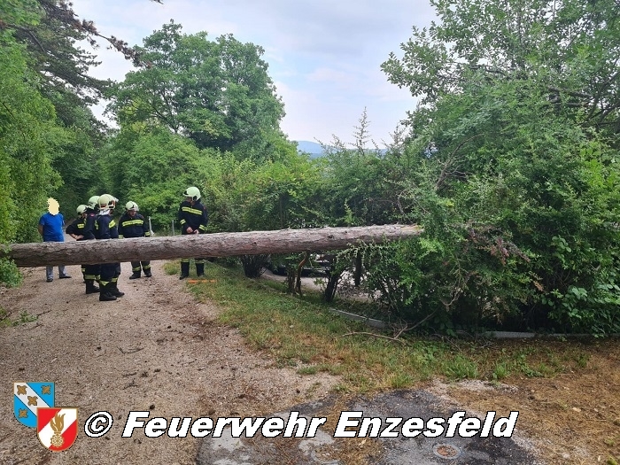 20210717 Sturmschaden in Enzesfeld   Foto:  Freiwillige Feuerwehr Enzesfeld 