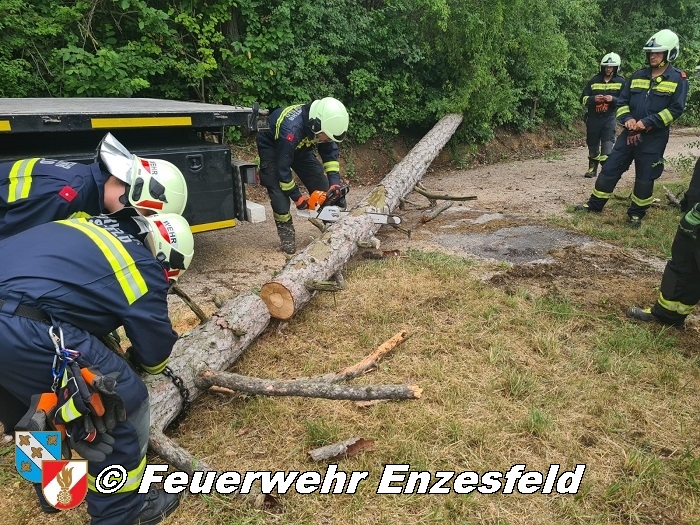 20210717 Sturmschaden in Enzesfeld   Foto: © Freiwillige Feuerwehr Enzesfeld 