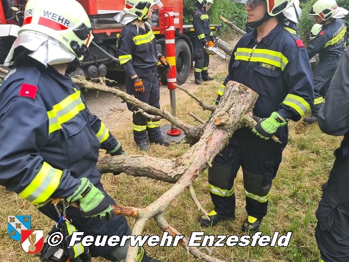 20210717 Sturmschaden in Enzesfeld   Foto: © Freiwillige Feuerwehr Enzesfeld 