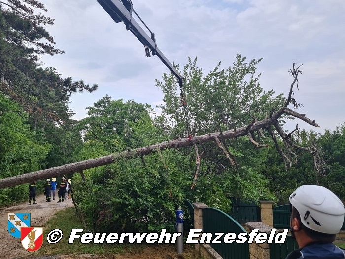 20210717 Sturmschaden in Enzesfeld   Foto: © Freiwillige Feuerwehr Enzesfeld 