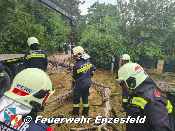 20210717 Sturmschaden in Enzesfeld   Foto: © Freiwillige Feuerwehr Enzesfeld 