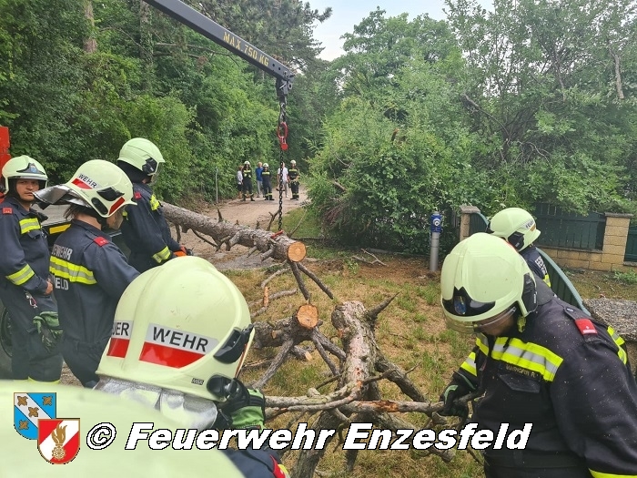 20210717 Sturmschaden in Enzesfeld   Foto: © Freiwillige Feuerwehr Enzesfeld 