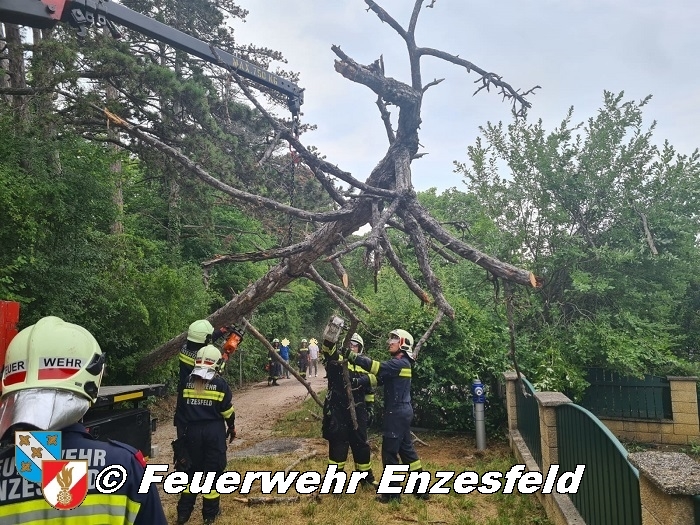 20210717 Sturmschaden in Enzesfeld   Foto: © Freiwillige Feuerwehr Enzesfeld 