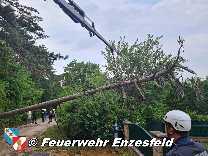 20210717 Sturmschaden in Enzesfeld   Foto: © Freiwillige Feuerwehr Enzesfeld 