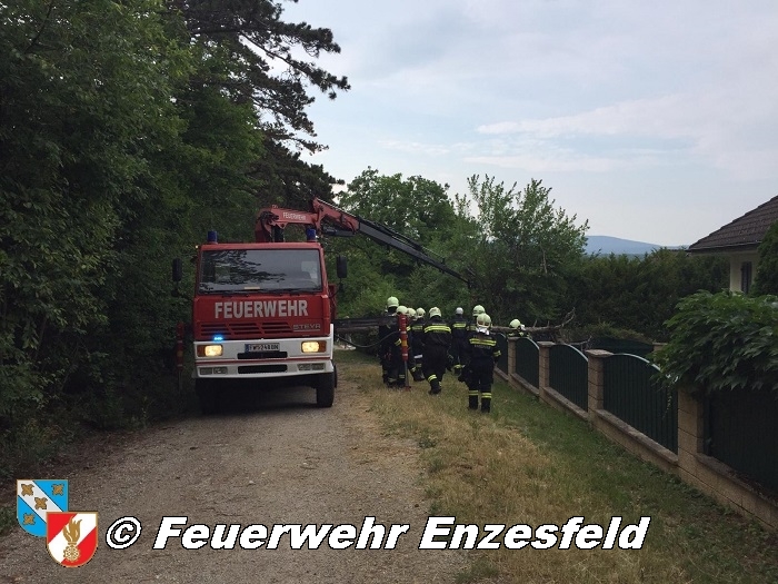 20210717 Sturmschaden in Enzesfeld   Foto: © Freiwillige Feuerwehr Enzesfeld 