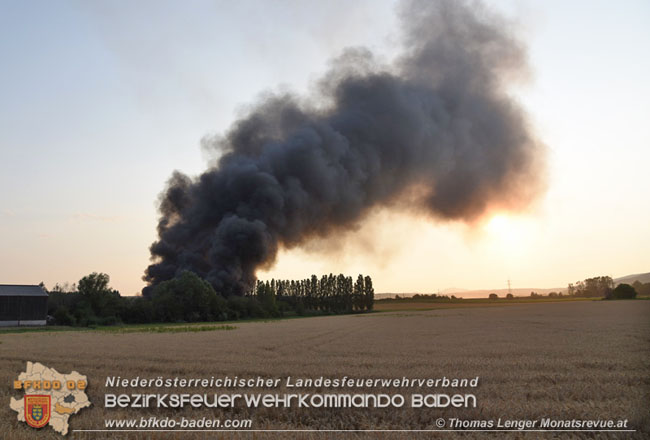 20210723 Feuerwehr-Großeinsatz bei Brand einer Halle in Kottingbrunn   Foto: © Thomas Lenger Monatsrevue.at