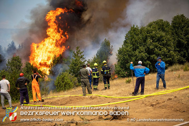 20210805-15 Einsatz Waldbrnde in Nordmazedonien