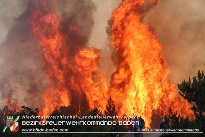 20210805-15 Einsatz Waldbrnde in Nordmazedonien