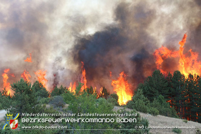 20210805-15 Einsatz Waldbrnde in Nordmazedonien