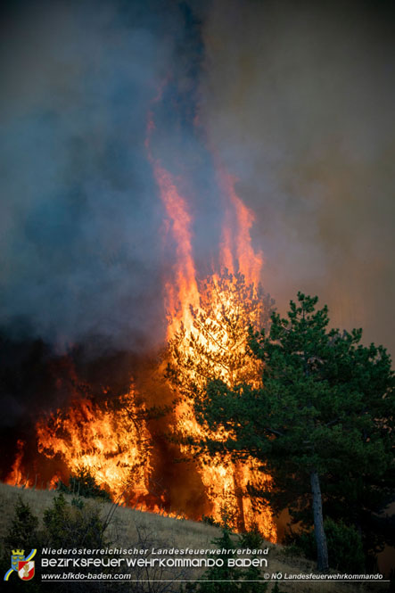 20210805-15 Einsatz Waldbrnde in Nordmazedonien