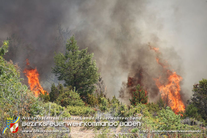 20210805-15 Einsatz Waldbrnde in Nordmazedonien