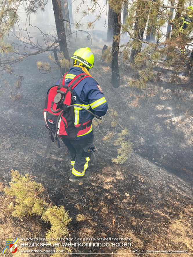 20210805-15 Einsatz Waldbrnde in Nordmazedonien