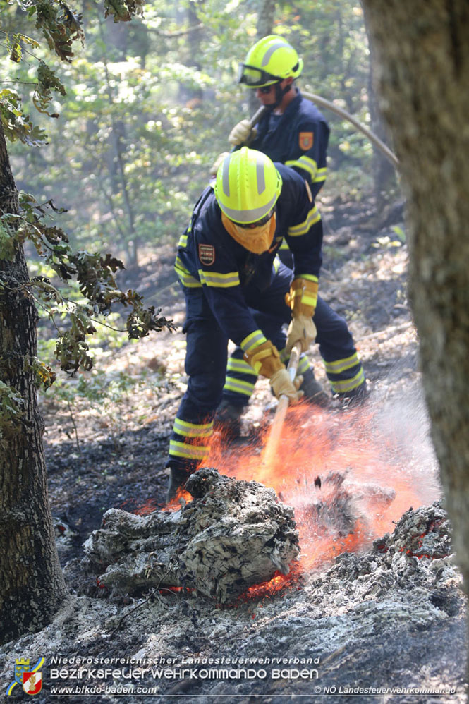 20210805-15 Einsatz Waldbrnde in Nordmazedonien