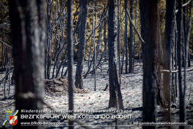 20210805-15 Einsatz Waldbrnde in Nordmazedonien