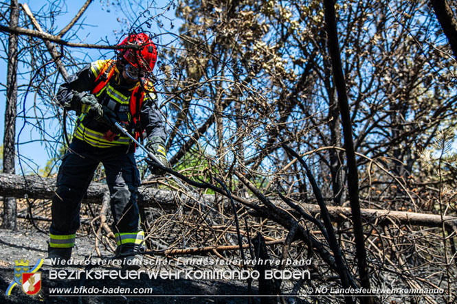 20210805-15 Einsatz Waldbrnde in Nordmazedonien