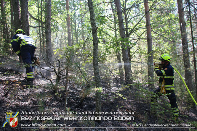 20210805-15 Einsatz Waldbrnde in Nordmazedonien