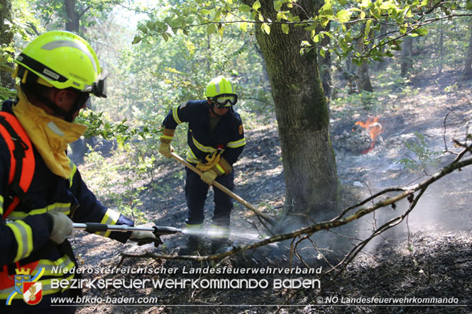 20210805-15 Einsatz Waldbrnde in Nordmazedonien