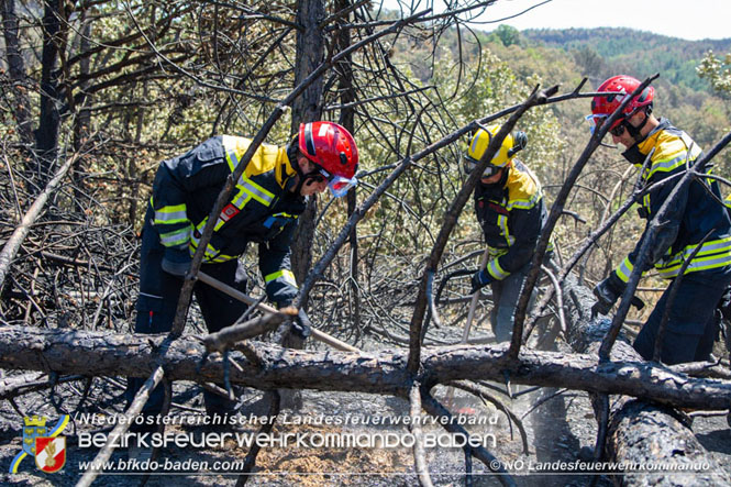 20210805-15 Einsatz Waldbrnde in Nordmazedonien