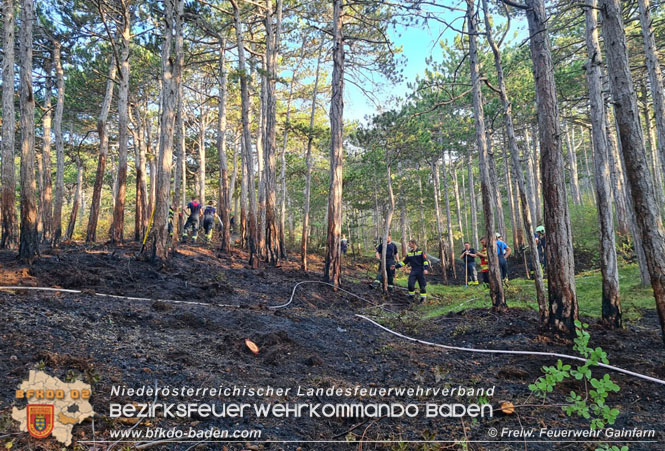 20210914 Waldbrand in Gainfarn im Bereich Mariazeller Zwickl  Foto:  Freiwillige Feuerwehr Gainfarn 