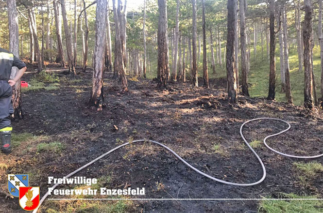 20210914 Waldbrand in Gainfarn im Bereich Mariazeller Zwickl  Foto:  Freiwillige Feuerwehr Enzesfeld